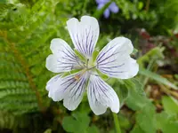 DSCF9067.webp