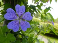 DSCF9087.webp