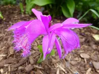 DSCF9123.webp