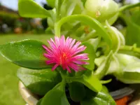 DSCF9029.webp