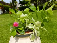 DSCF9025.webp