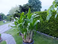 DSCF9002.webp