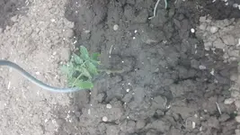 20150528_154248.webp