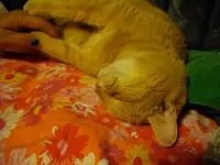 IMGP2291.webp