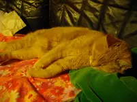 IMGP2285.webp