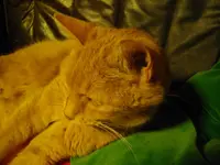 IMGP2287.webp