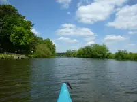 P1060266.webp