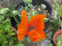 001_1024x768.webp