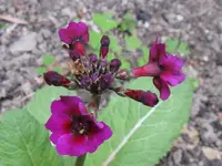 022_1024x768.webp