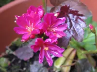 024_1024x768.webp