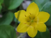 019_1024x768.webp