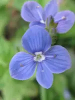 020_576x768.webp