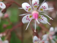 021_1024x768.webp