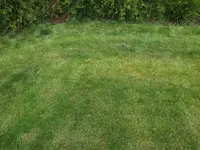20150529_155954.webp