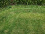 20150529_155954.jpg 20150529_155954.jpg