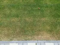 20150529_160048.webp