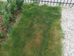 20150529_160055.jpg 20150529_160055.jpg
