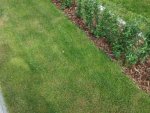20150529_160058.jpg