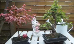 20150523_163538.webp