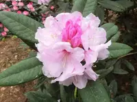 Bilda075.webp