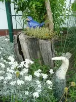 Suchbild mit Vogel.webp