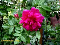 IMG_4770.webp