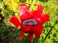 DSCF9019.webp