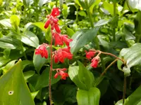 DSCF9080.webp