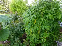 DSCF9064.webp