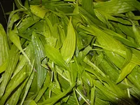 DSCF9097.webp