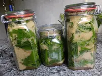 DSCF9107.webp