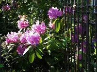 109.webp
