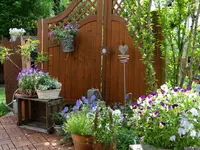 114.webp