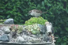 DSCF1089 (2).webp