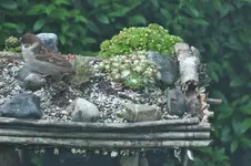 DSCF1091 (2).webp