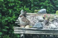 DSCF1092 (2).webp