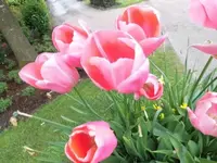 Bilda021.webp
