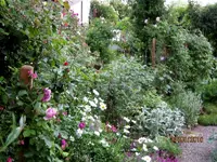 IMG_4737.webp