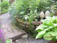 IMG_4720.webp
