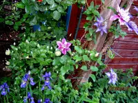 IMG_4706.webp