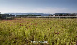 IMG_8526.webp