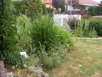 Am Teich.webp