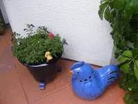 Avatar.webp