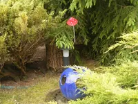 Blaue Kugel.webp