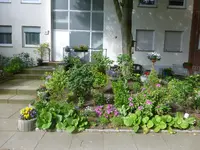 P1030444.webp