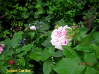 IMG_4740.webp