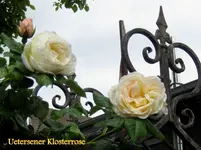 IMG_4744.webp