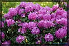 comp_DSC03606.webp