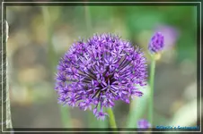 comp_DSC03604.webp