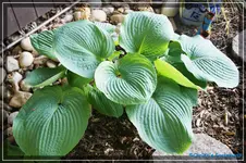 comp_DSC03612.webp